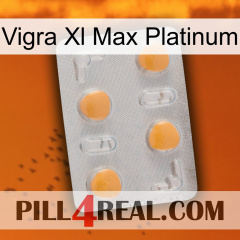 Vigra Xl Max Platinum 24